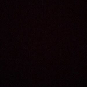 Meet your Posher, Armando